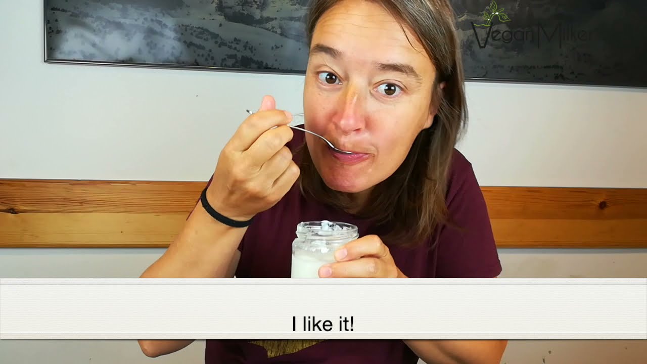 How to make vegan yogurts with coco ?, soy, cashew... in a yogurt maker