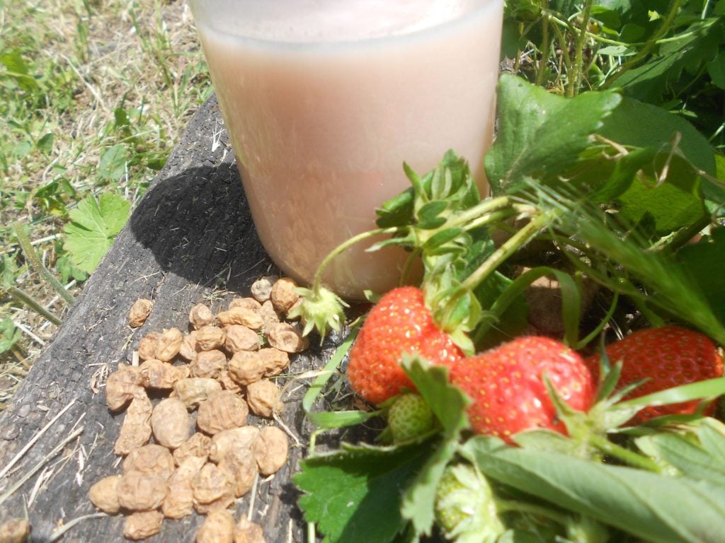 Ягоди и сушени ядки до напитка Vegan Milker върху дървена повърхност на открито.