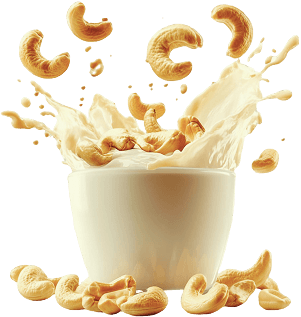 Начало 16 Кашу - VeganMilker